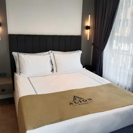 Hotel Alion